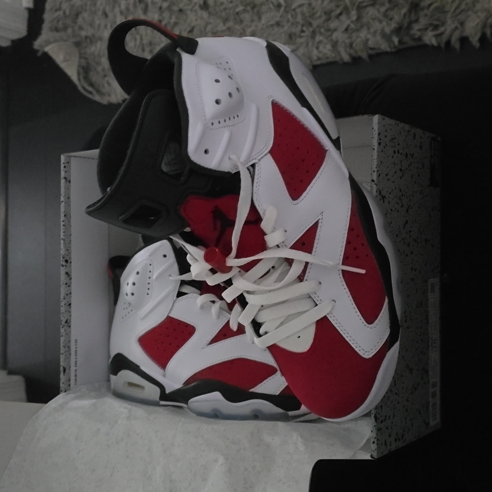 Jordan retro 6 "CARMINE"